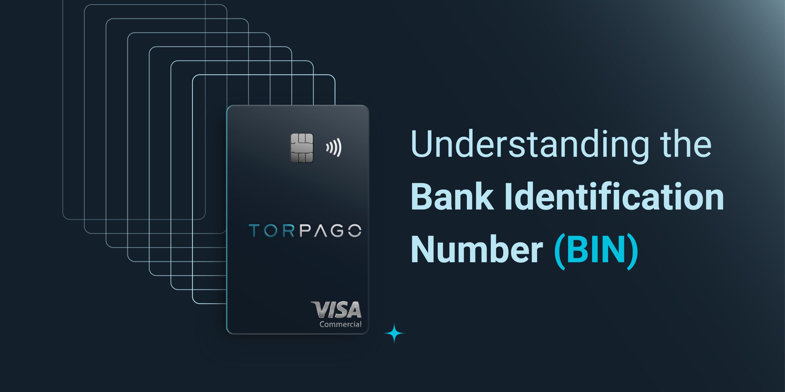 Understanding the Bank Identification Number (BIN): A Vital Element for Starting a Credit Card Program