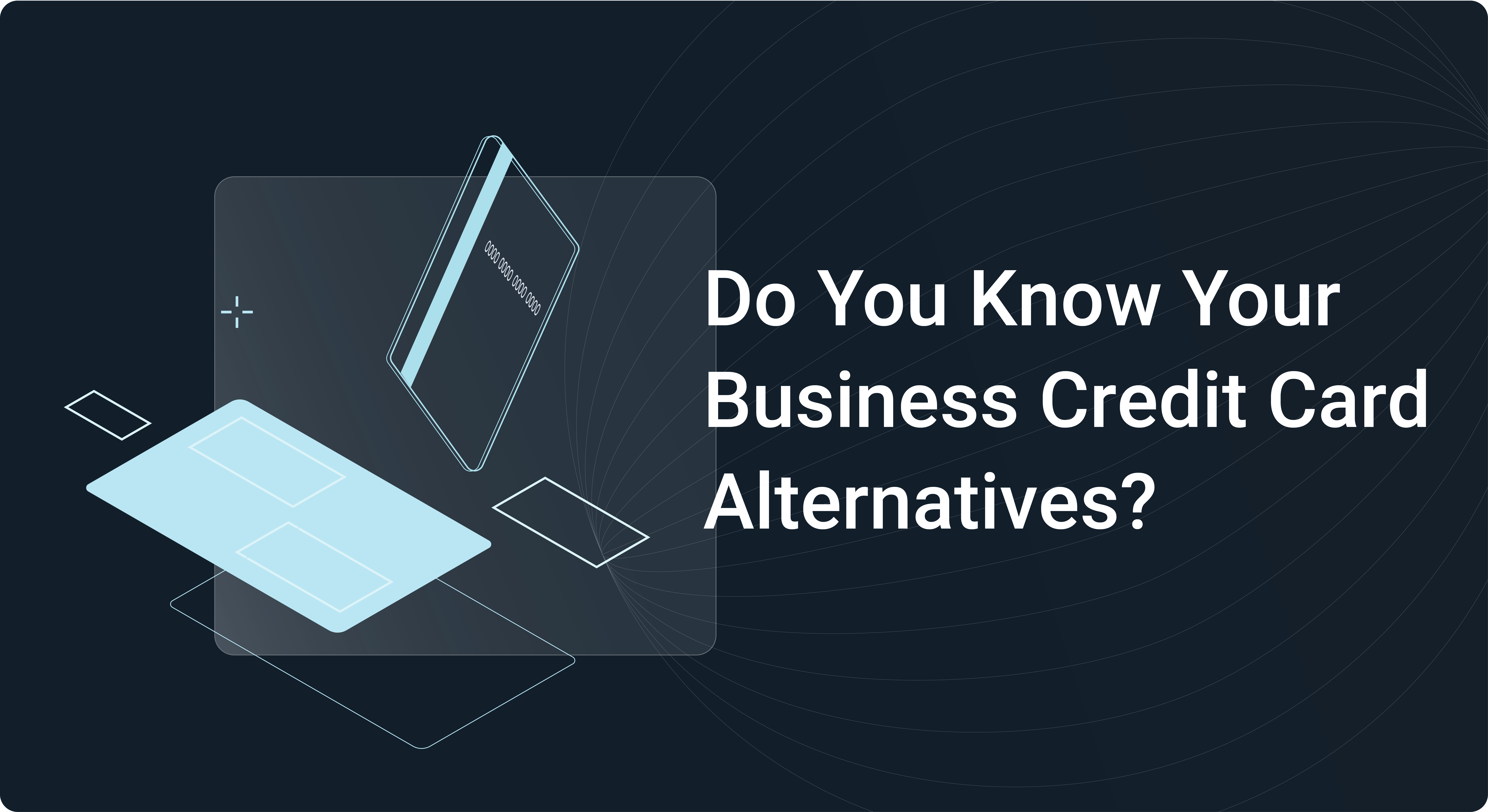 Do You Know Your Business Credit Card Alternatives?